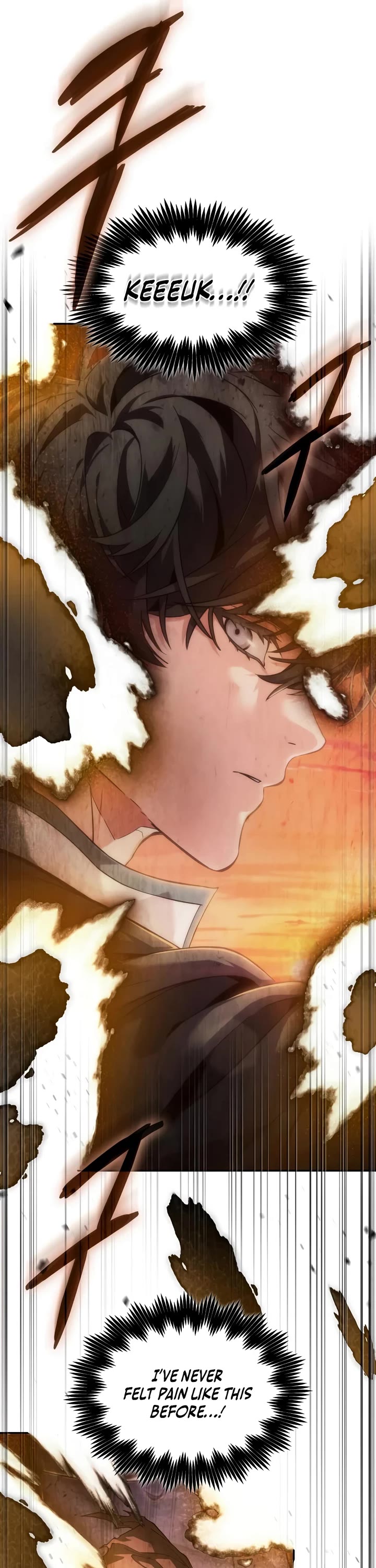 Maplestory: The Last Adventurer Chapter 120 page 13 - Chapter 120 [END]