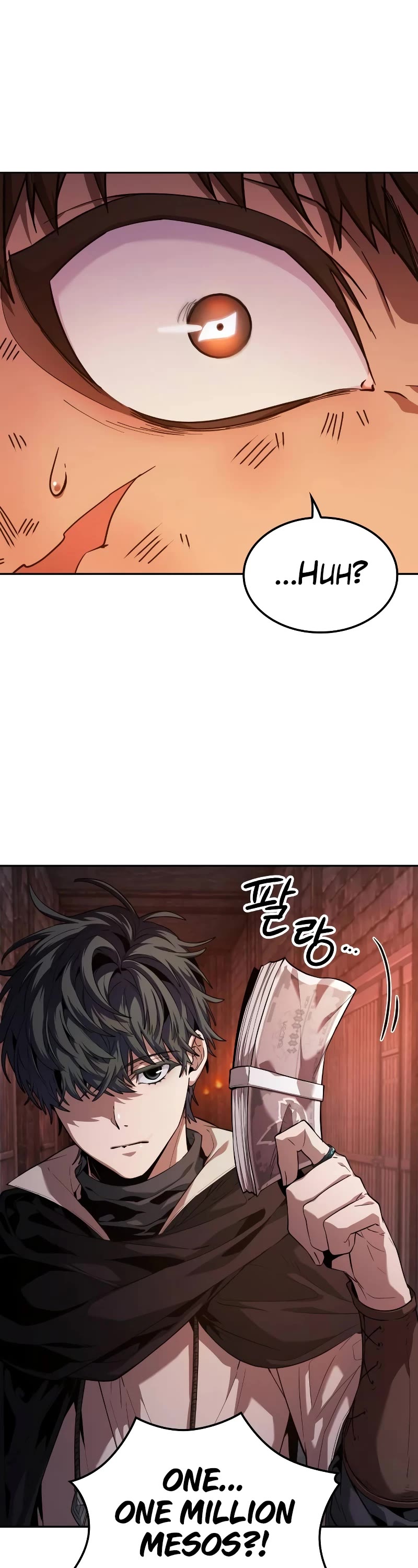 Maplestory: The Last Adventurer Chapter 5 page 29 - Chapter 5