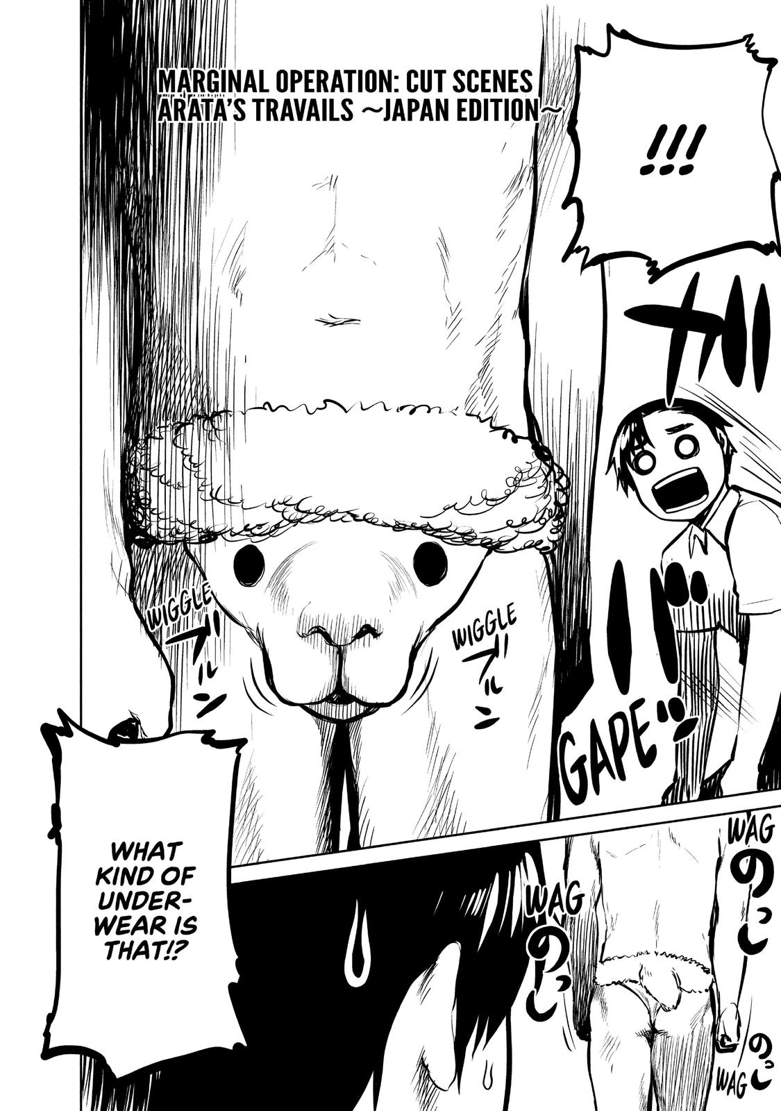 Marginal Operation Chapter 44 page 41 - Chapter 44