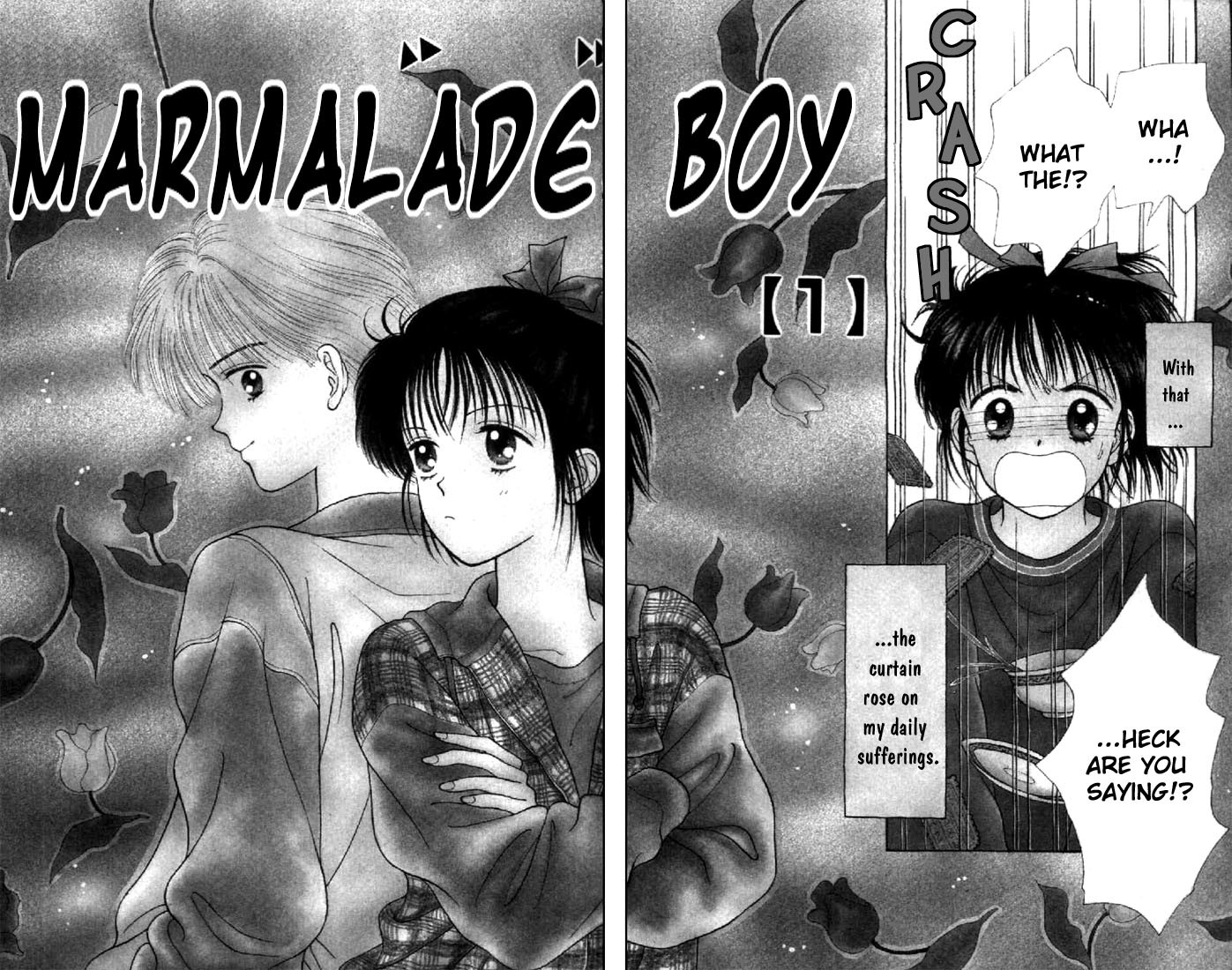 Marmalade Boy Chapter 1 page 5 - Chapter 1