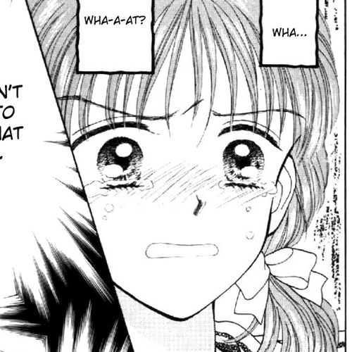 Marmalade Boy Chapter 27 cover