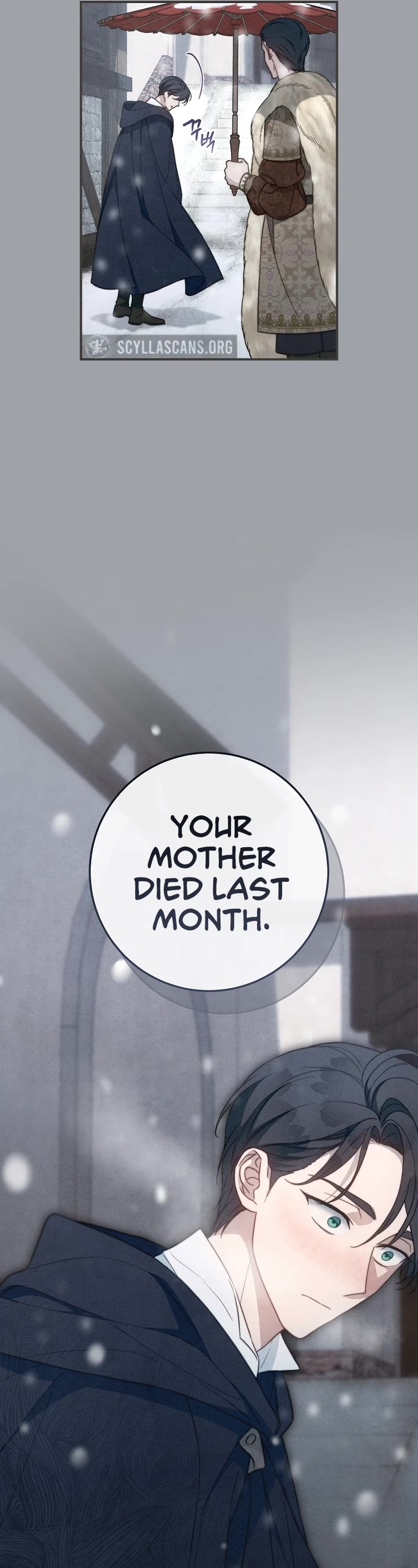 Marriage of Convenience Chapter 103 page 17 - Chapter 103: Side Story 8