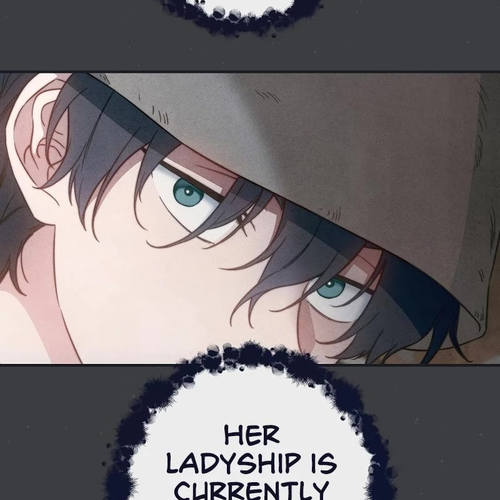 Marriage of Convenience Chapter 103: Side Story 8 cover