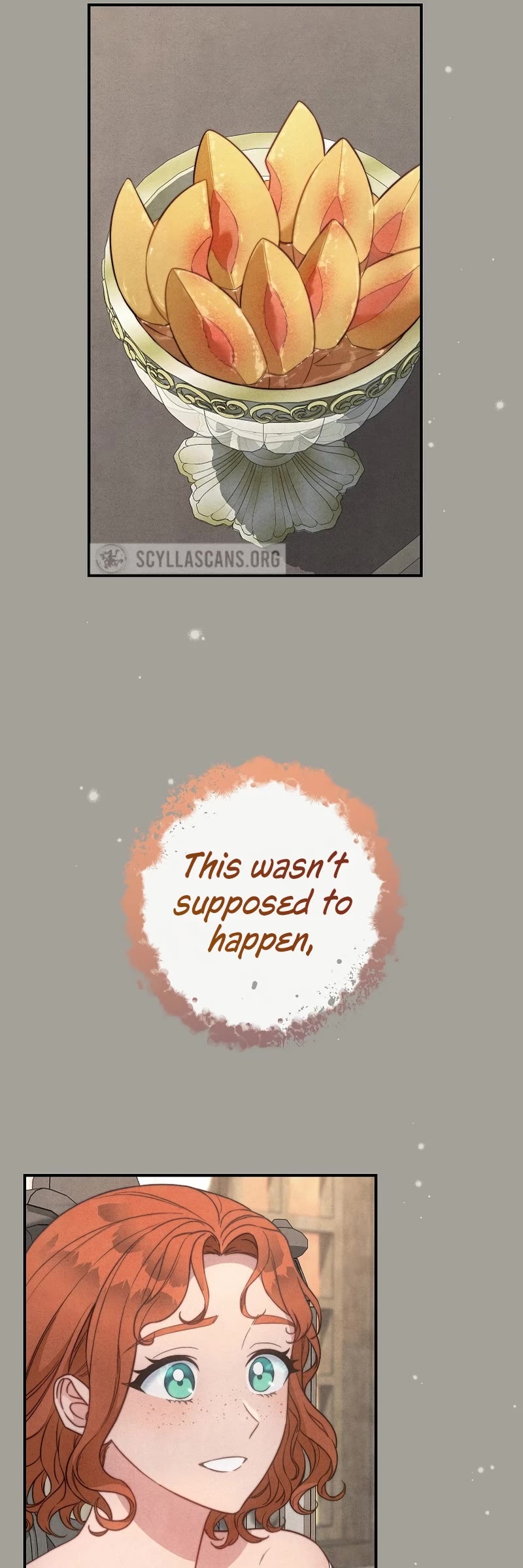 Marriage of Convenience Chapter 104 page 21 - Chapter 104: Side Story 9