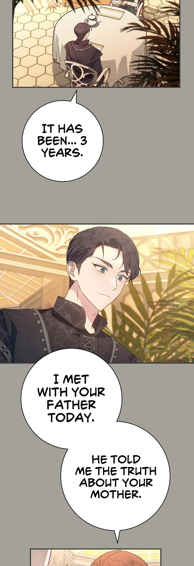 Marriage of Convenience Chapter 104 page 27 - Chapter 104: Side Story 9