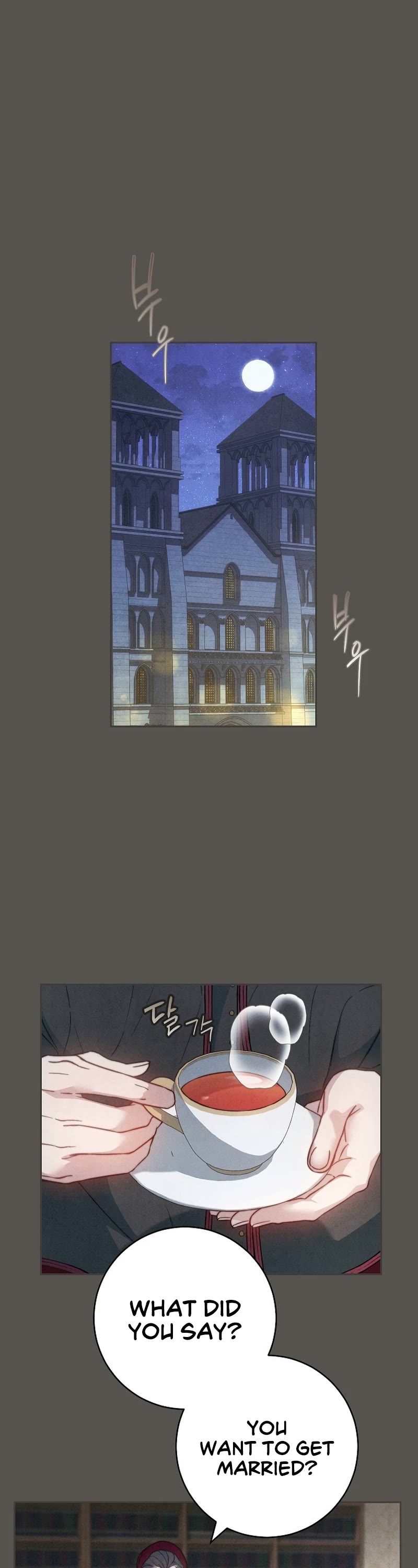 Marriage of Convenience Chapter 99 page 2 - Chapter 99: Side Story 04