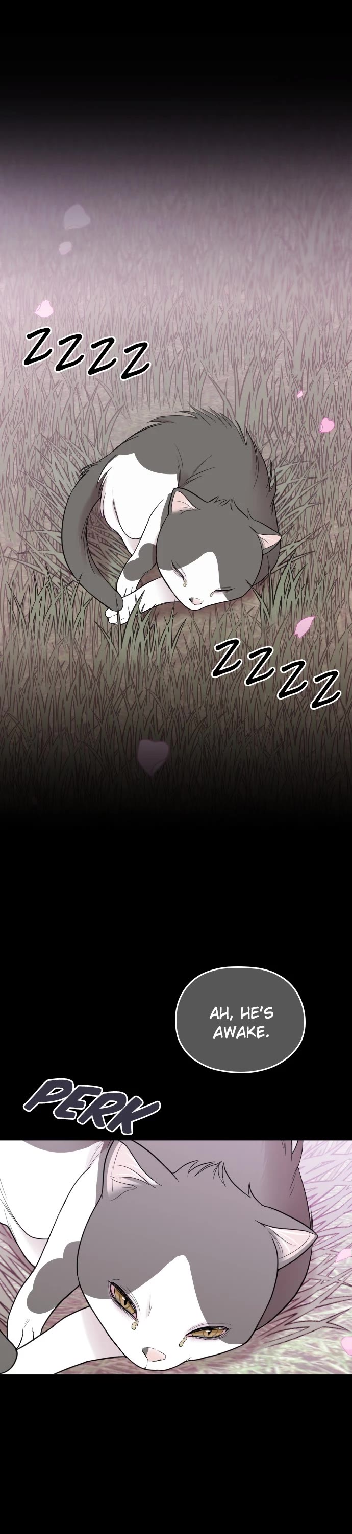 Marry My Husband Chapter 32 page 11 - Chapter 32: Episode 32