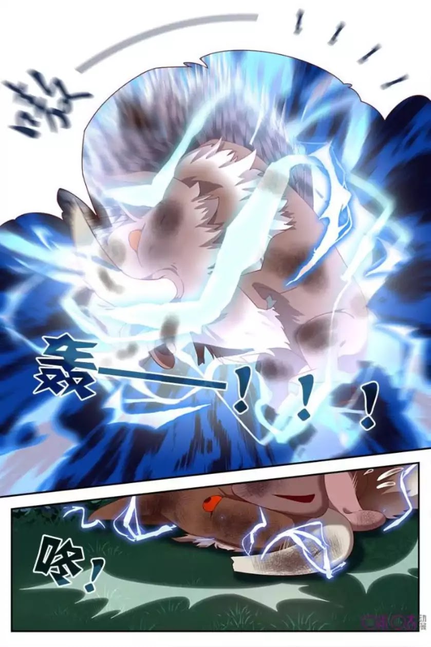 Martial God’s Space Chapter 8 page 14 - Chapter 8