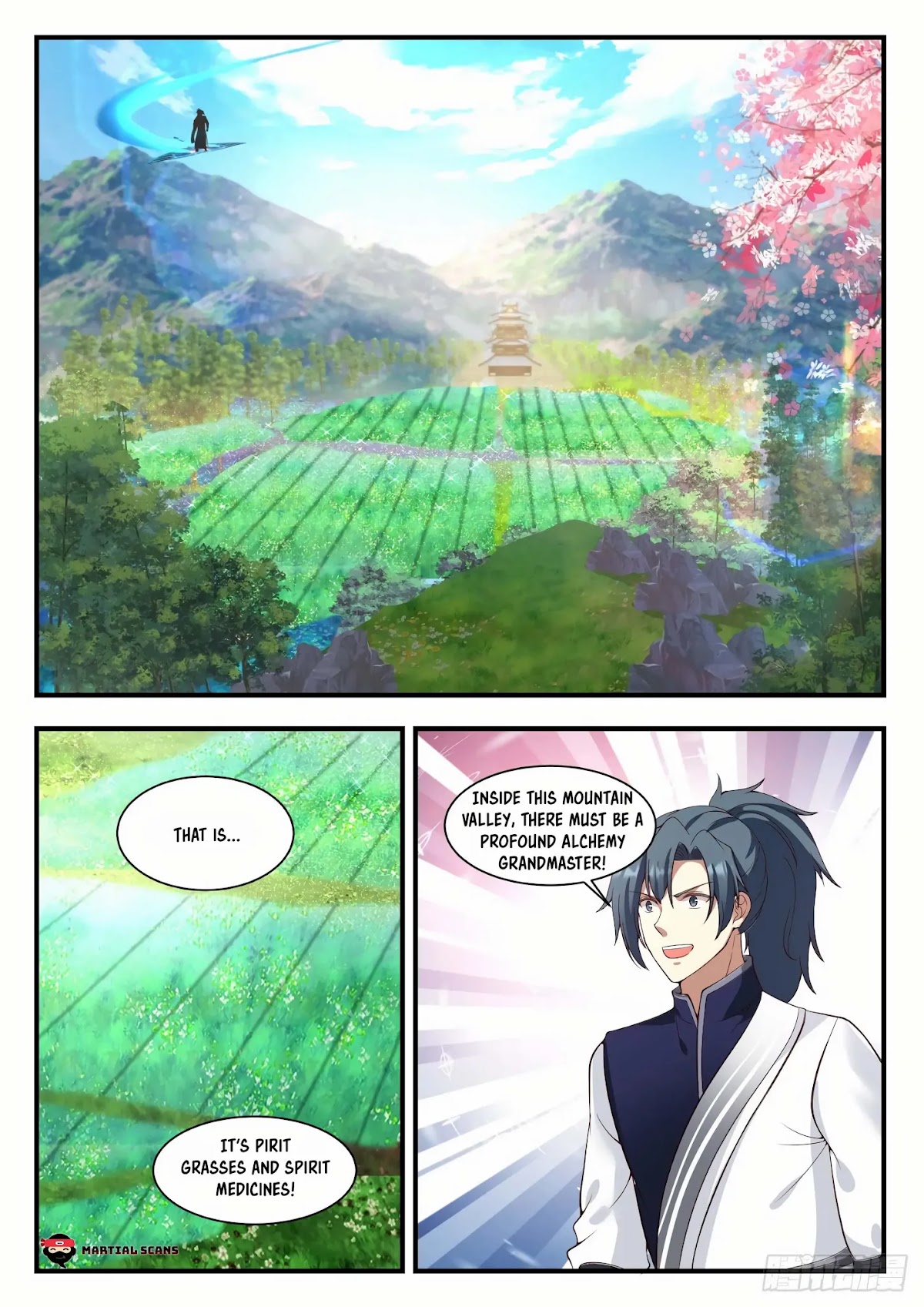 Martial Peak Chapter 931 page 11 - Chapter 931: Medicine Garden