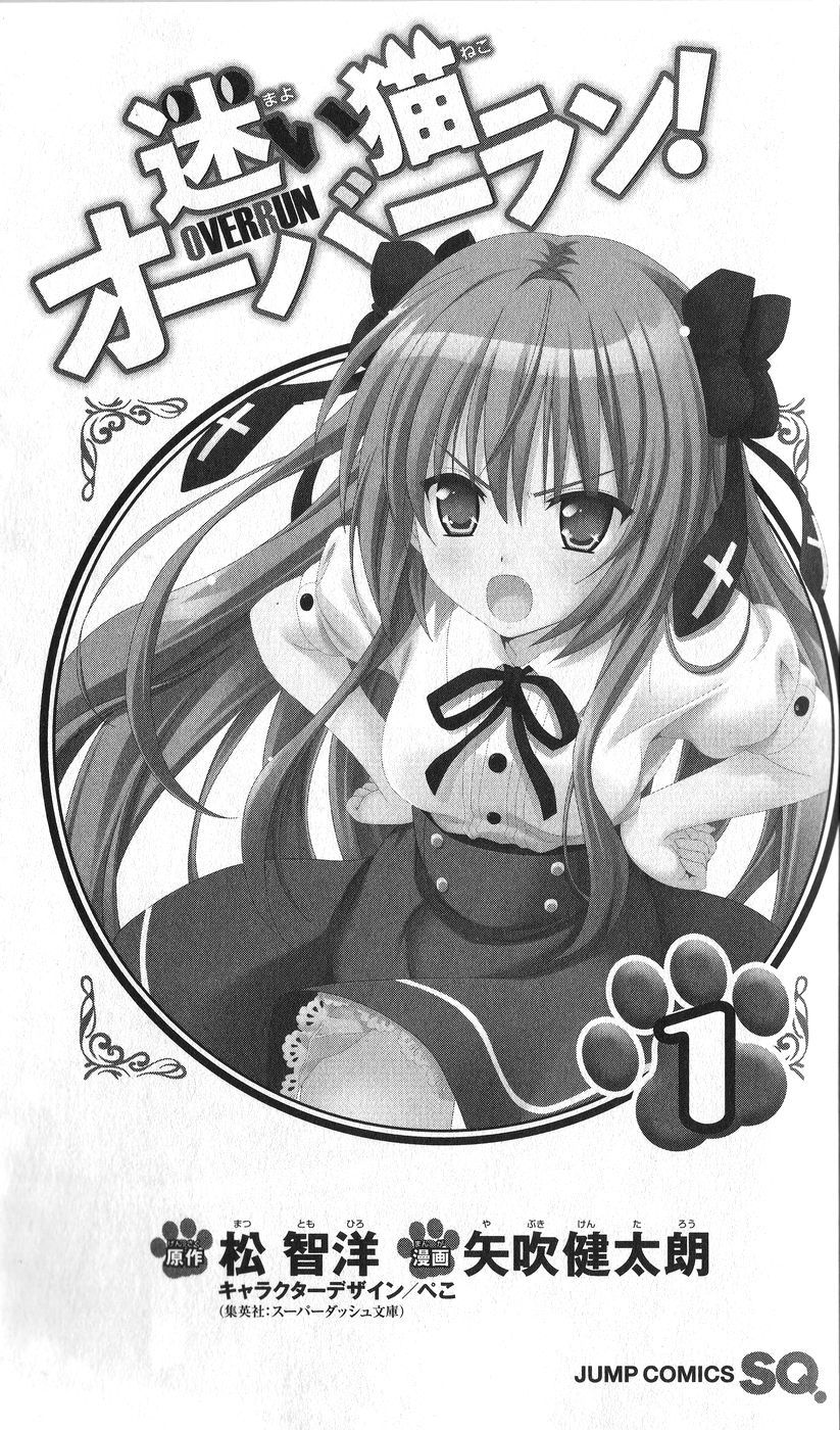 Mayoi Neko Overrun! Chapter 1 page 11 - Chapter 1: It's Not Like I've Asked to Be Taken In!!