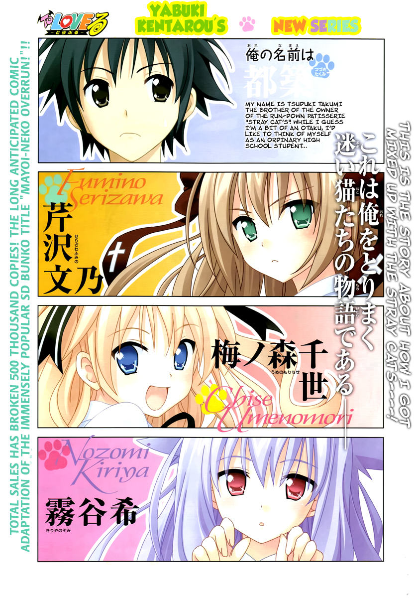 Mayoi Neko Overrun! Chapter 1 page 18 - Chapter 1: It's Not Like I've Asked to Be Taken In!!
