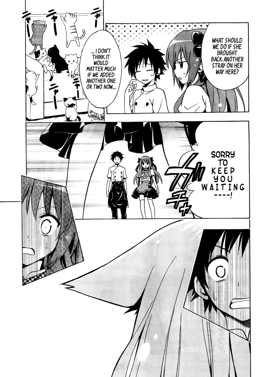 Mayoi Neko Overrun! Chapter 1 page 26 - Chapter 1: It's Not Like I've Asked to Be Taken In!!