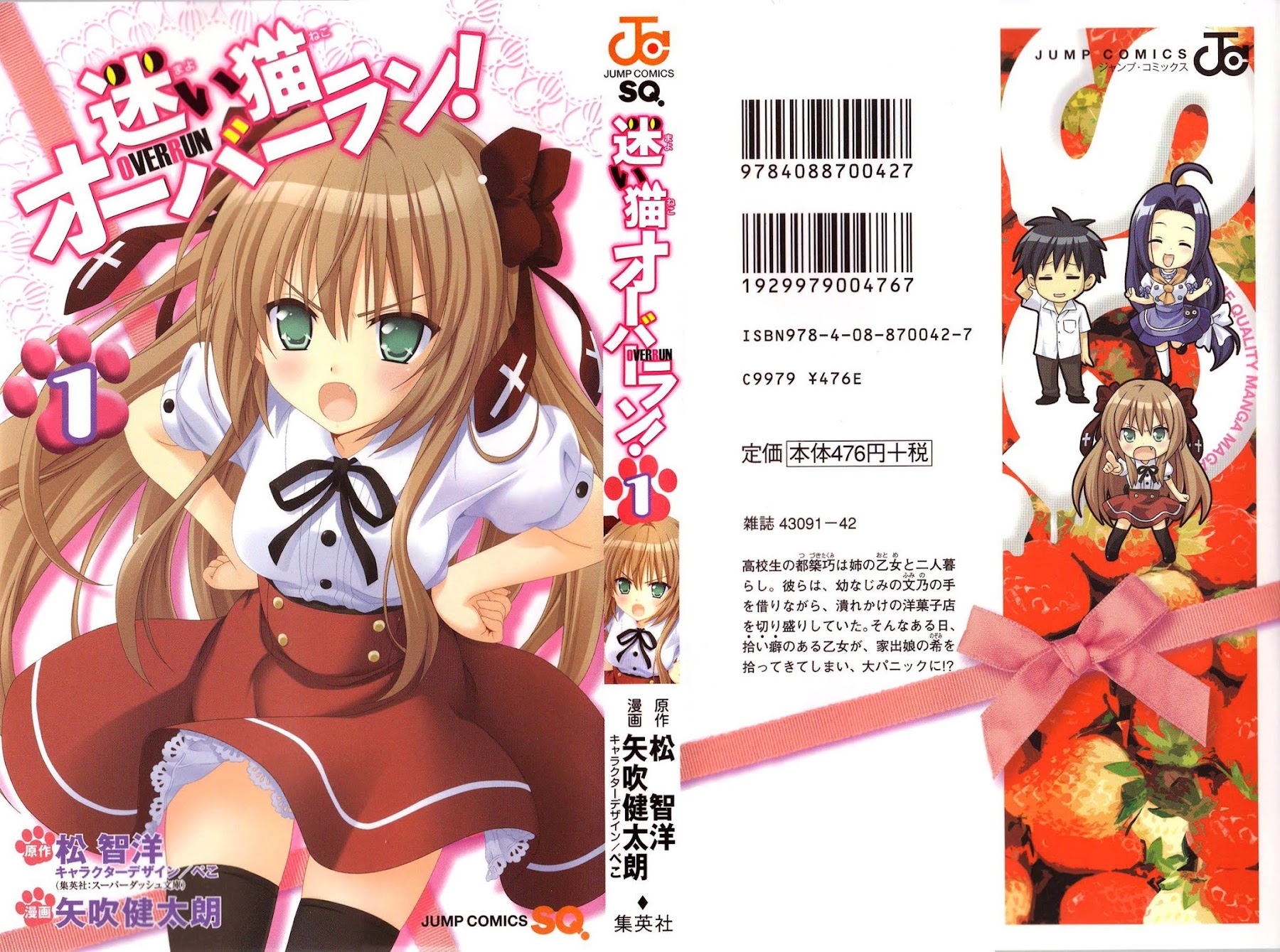 Mayoi Neko Overrun! Chapter 1 page 3 - Chapter 1: It's Not Like I've Asked to Be Taken In!!