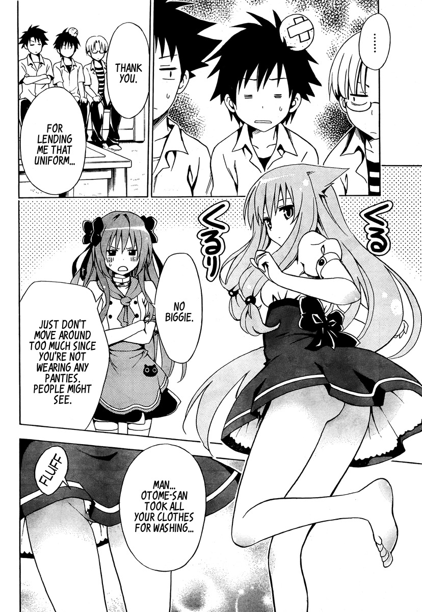 Mayoi Neko Overrun! Chapter 1 page 43 - Chapter 1: It's Not Like I've Asked to Be Taken In!!