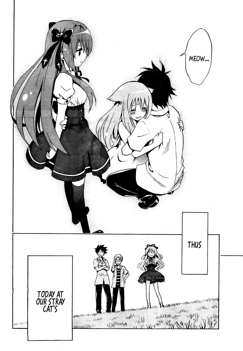 Mayoi Neko Overrun! Chapter 1 page 77 - Chapter 1: It's Not Like I've Asked to Be Taken In!!