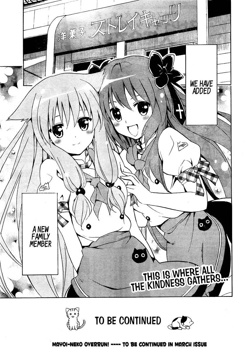 Mayoi Neko Overrun! Chapter 1 page 78 - Chapter 1: It's Not Like I've Asked to Be Taken In!!