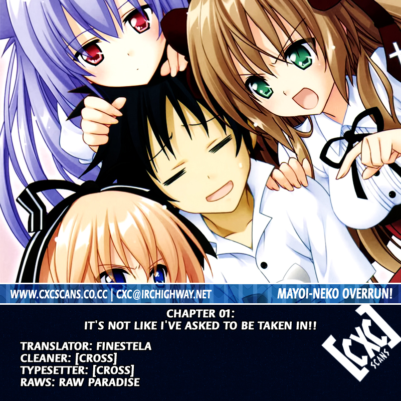Mayoi Neko Overrun! Chapter 1 page 79 - Chapter 1: It's Not Like I've Asked to Be Taken In!!