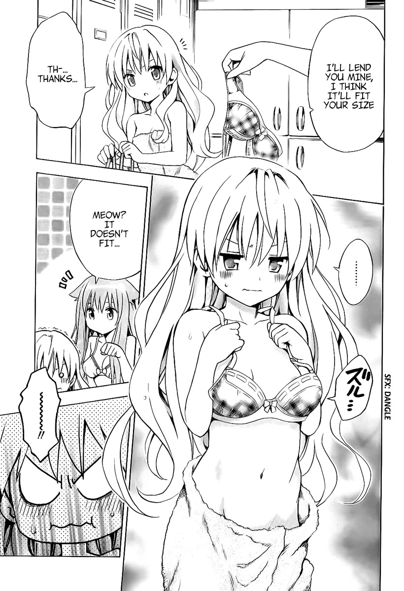 Mayoi Neko Overrun! Chapter 4 page 16 - Chapter 4: And the Name Is the Stray Cats Associaton