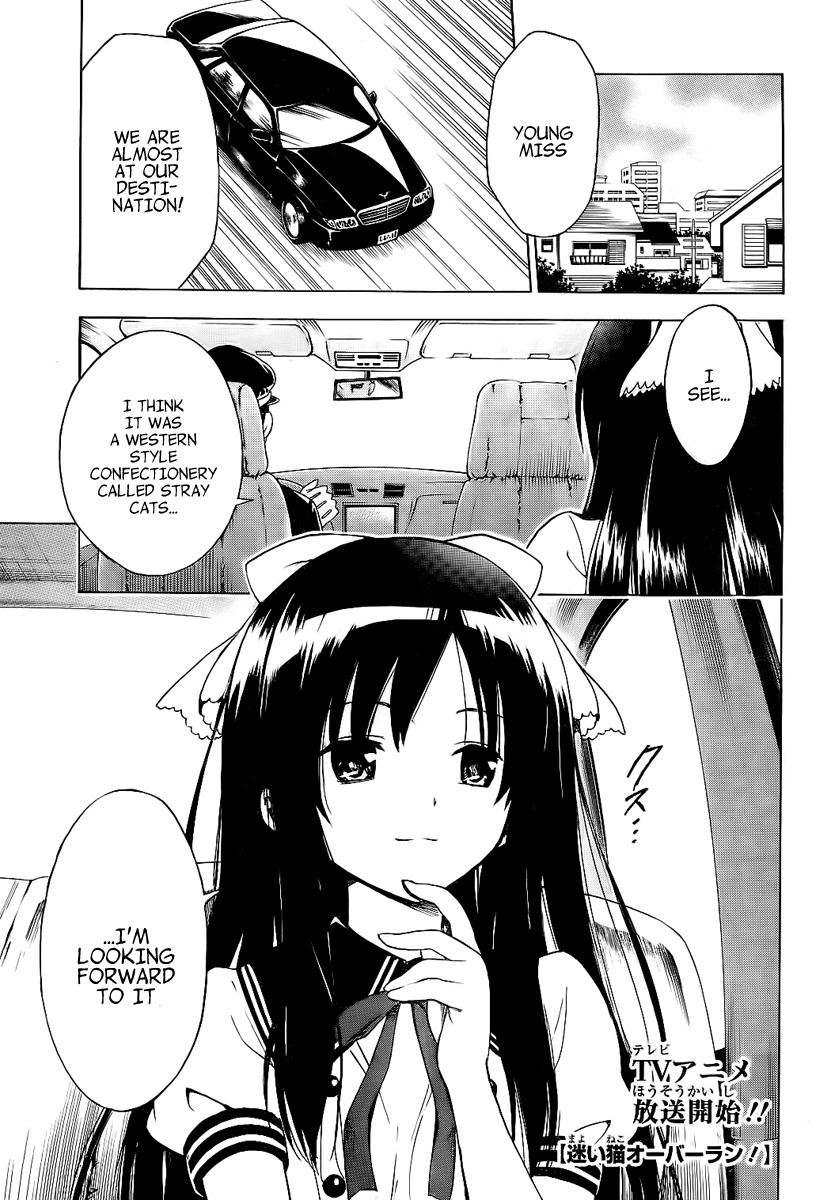 Mayoi Neko Overrun! Chapter 4 page 4 - Chapter 4: And the Name Is the Stray Cats Associaton