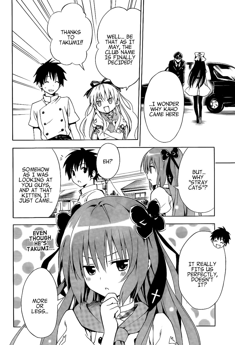 Mayoi Neko Overrun! Chapter 4 page 45 - Chapter 4: And the Name Is the Stray Cats Associaton