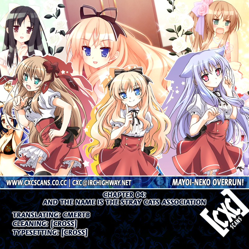 Mayoi Neko Overrun! Chapter 4 page 49 - Chapter 4: And the Name Is the Stray Cats Associaton
