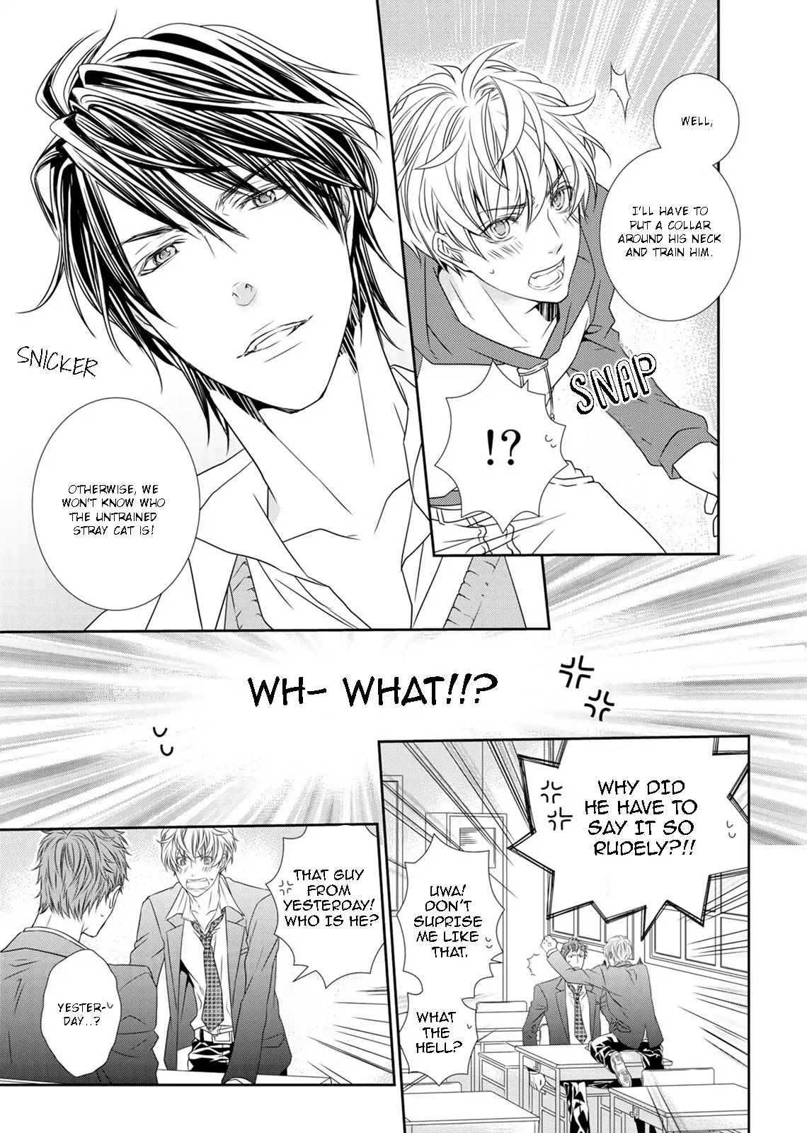 Mayoi Neko to Koi no Ashiato Chapter 1 page 12 - Chapter 1