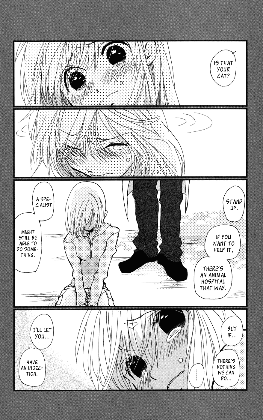 Megane x Parfait! Chapter 1 page 25 - Chapter 1