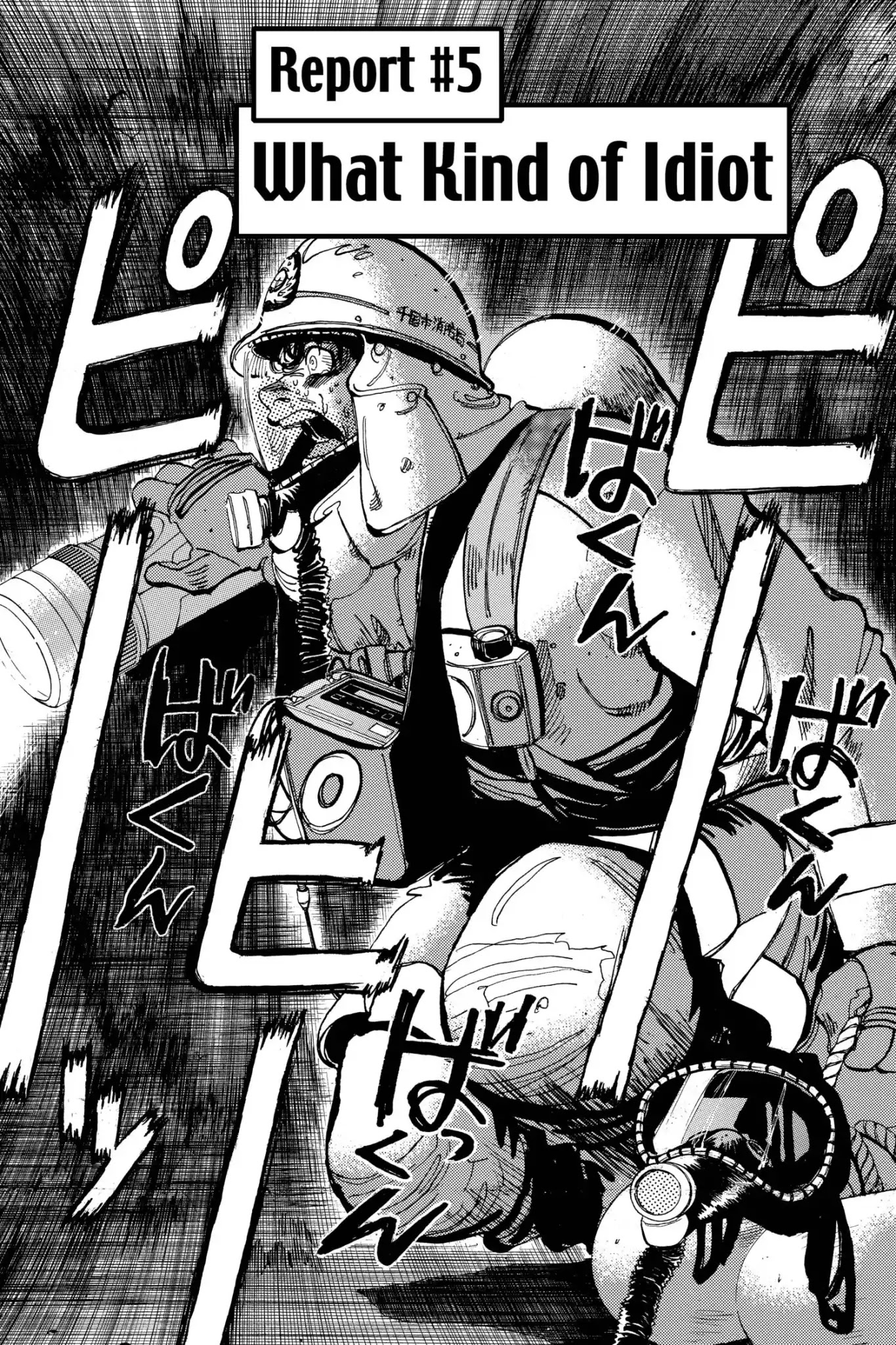 Megumi no Daigo Chapter 17.5 page 2 - Vol.17 Report #5: What Kind of Idiot