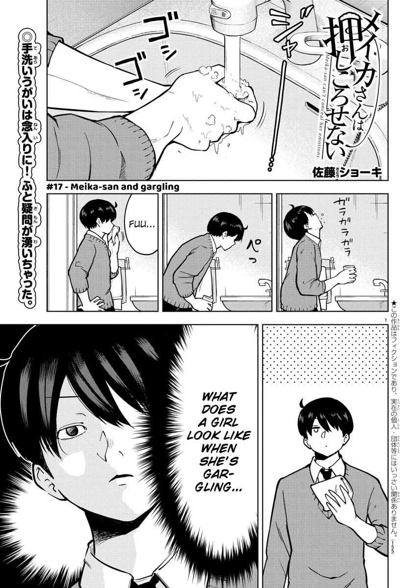 Meika-san Can't Conceal Her Emotions Chapter 17 page 1 - Chapter 17: Meika-san and Gargling