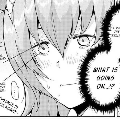 Meika-san Can't Conceal Her Emotions Chapter 51: Meika-san and Shiro-chan cover