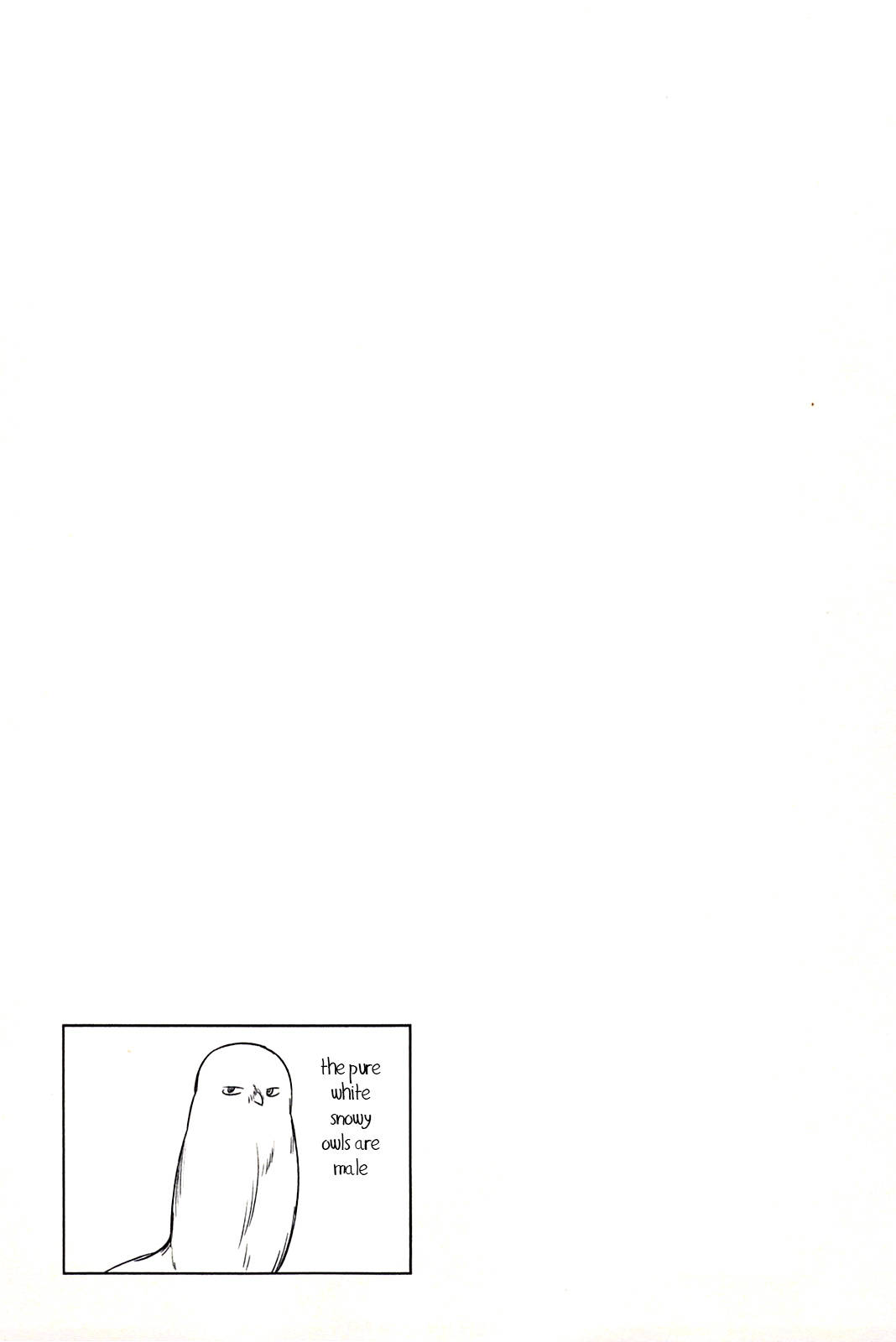 Meina no Fukurou Chapter 3 page 23 - Chapter 3