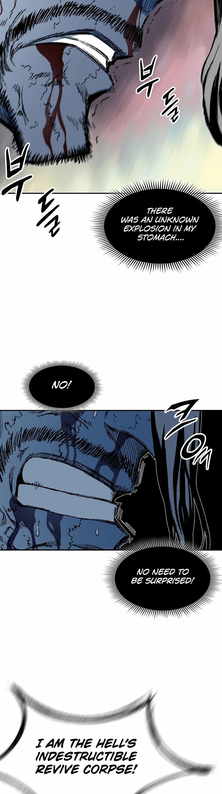 Memoir Of The King Of War Chapter 133 page 14 - Chapter 133