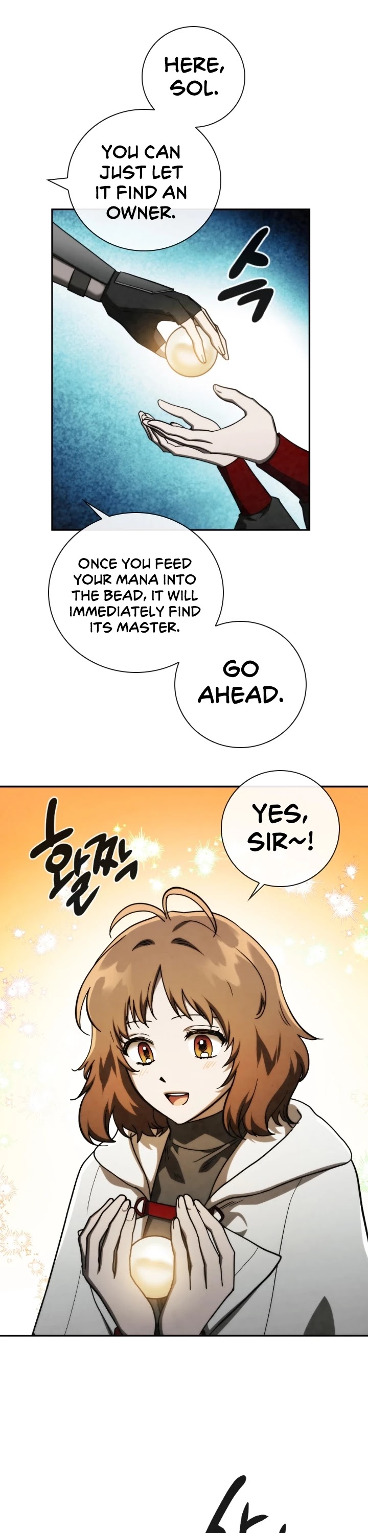 MEMORIZE Chapter 99 page 22 - Chapter 99