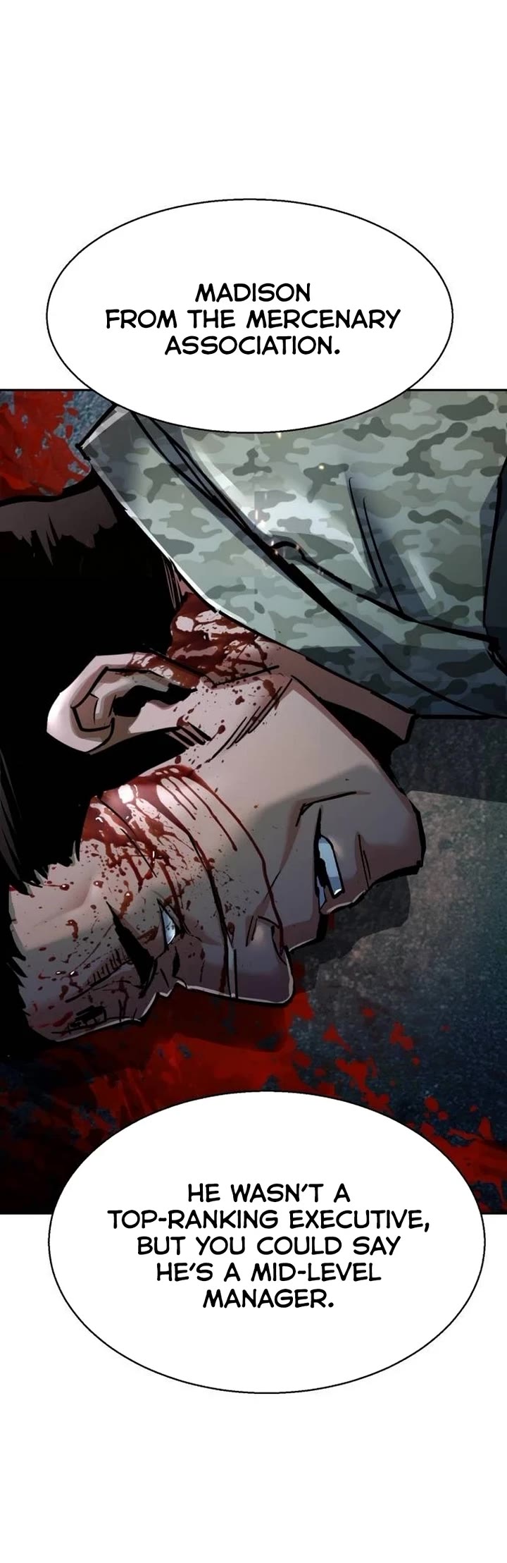 Mercenary Enrollment Chapter 223 page 14 - Chapter 223