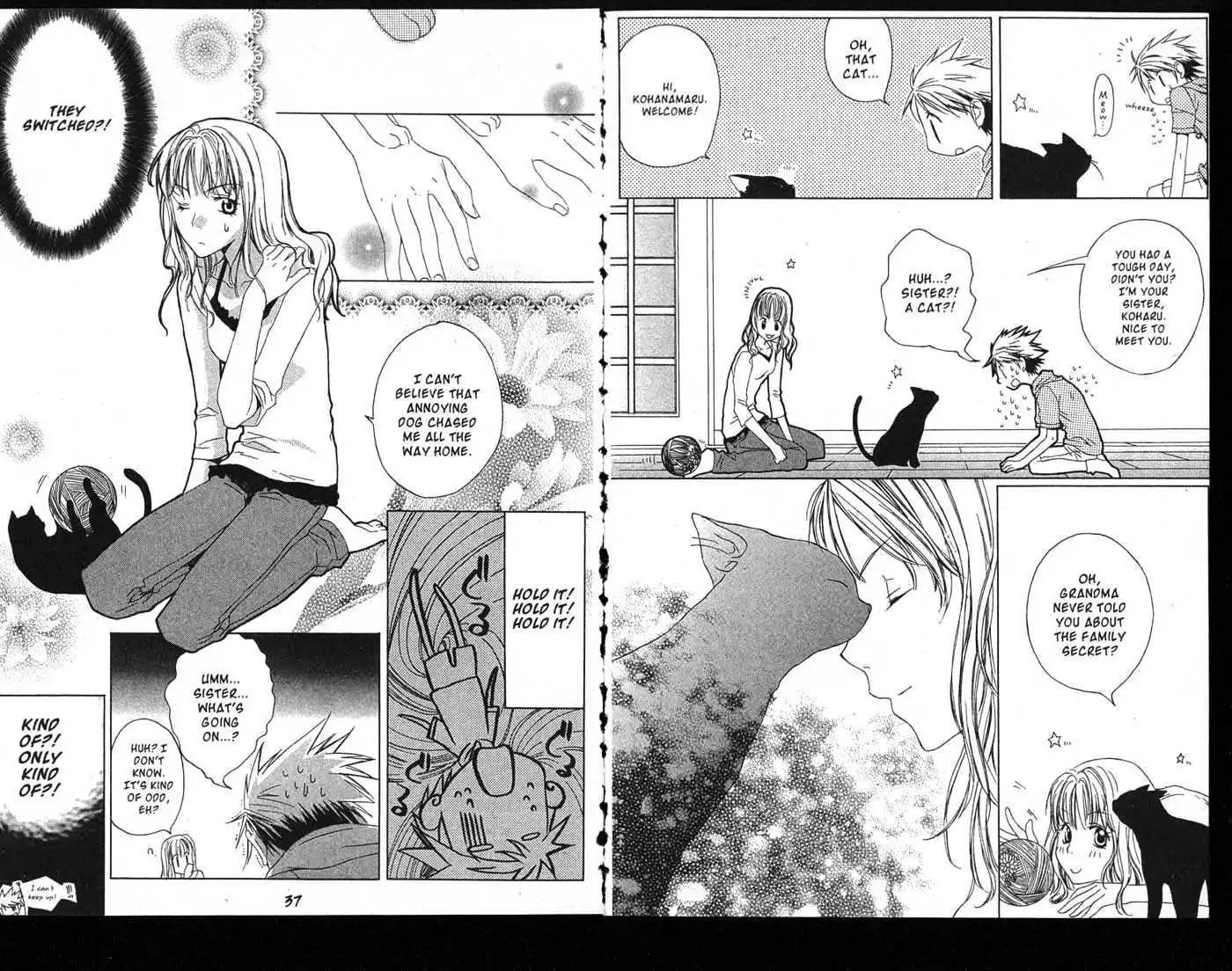 Metamo Kiss Chapter 1.5 page 19 - Chapter 1 - Chapter 5