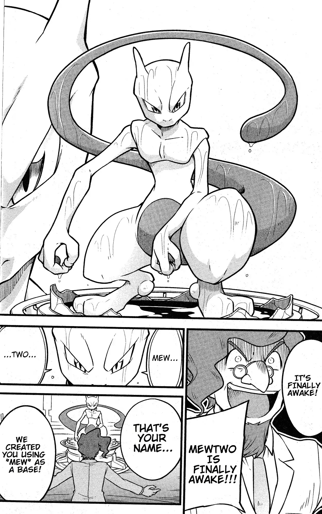 Mewtwo Strikes Back Evolution Chapter 1 page 4 - Chapter 1