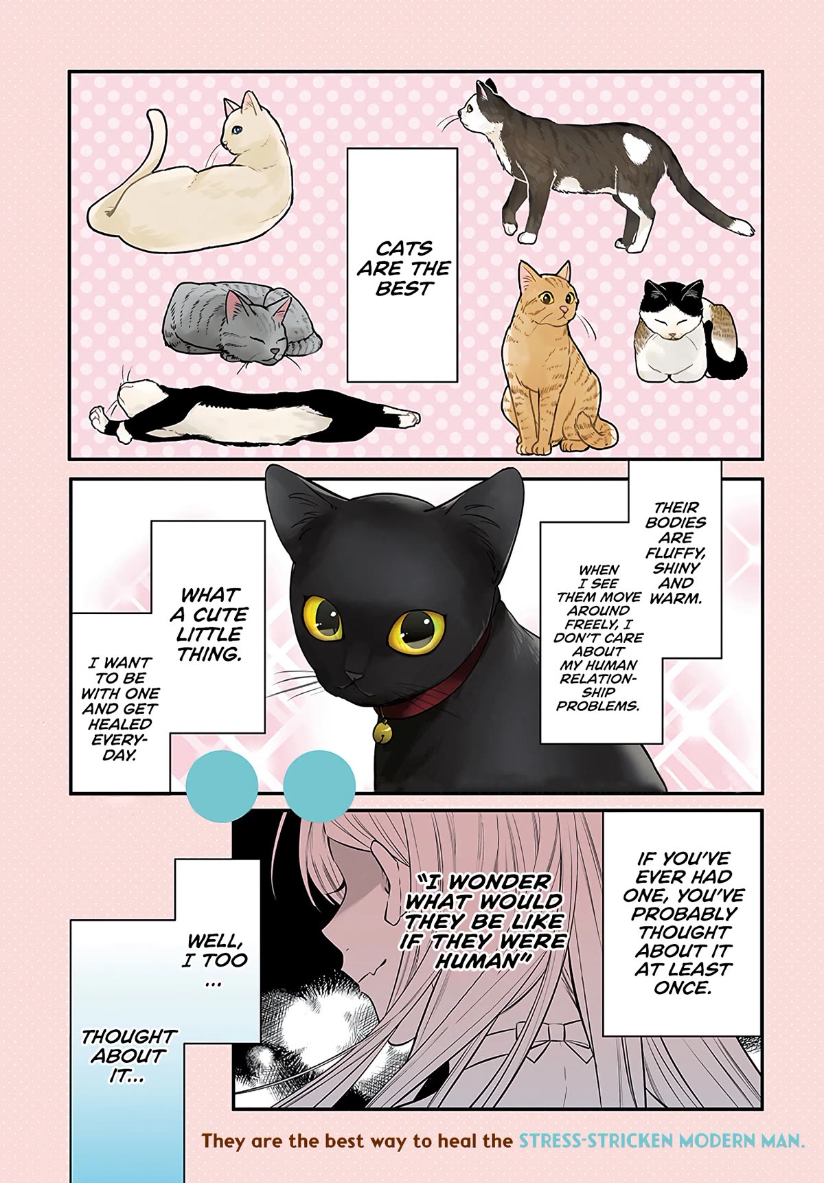 Mi-Chan Wants to be Kept Chapter 1 page 1 - Chapter 1: I will let you keep me