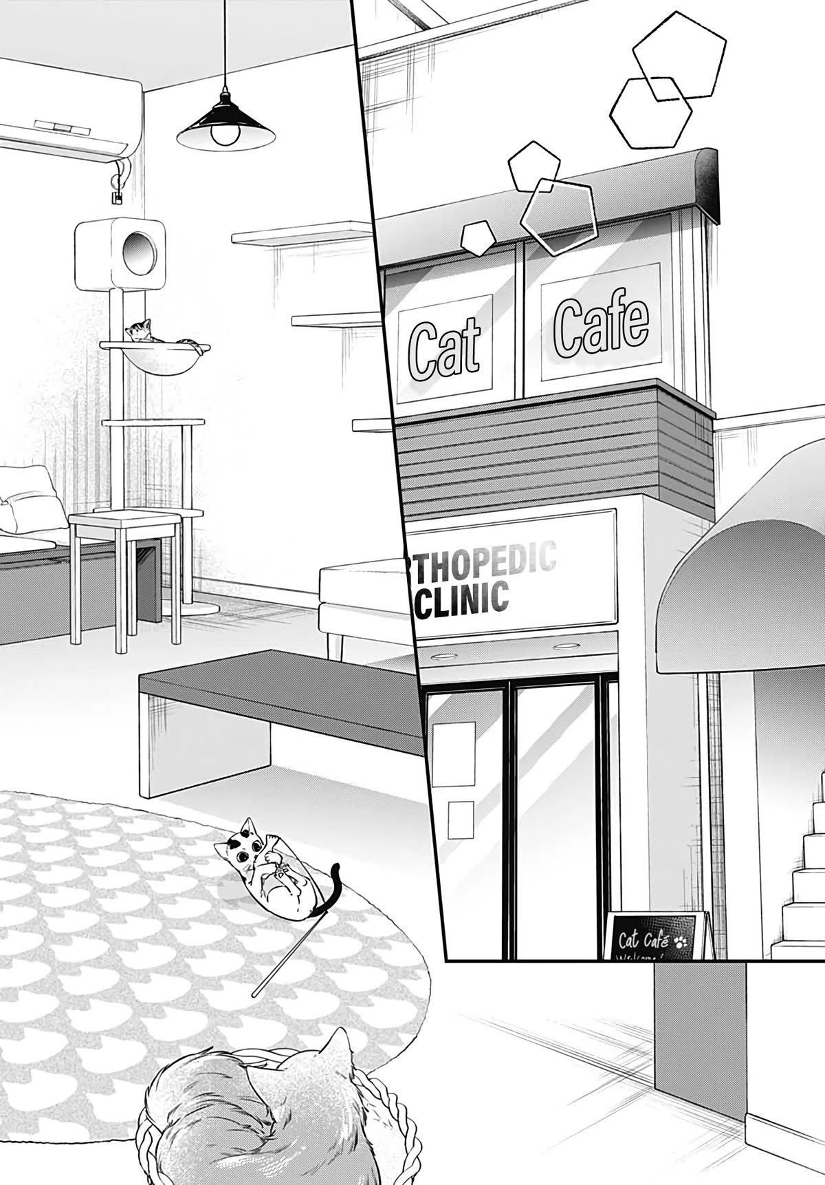 Mi-Chan Wants to be Kept Chapter 7 page 6 - Chapter 7: Cat Heaven