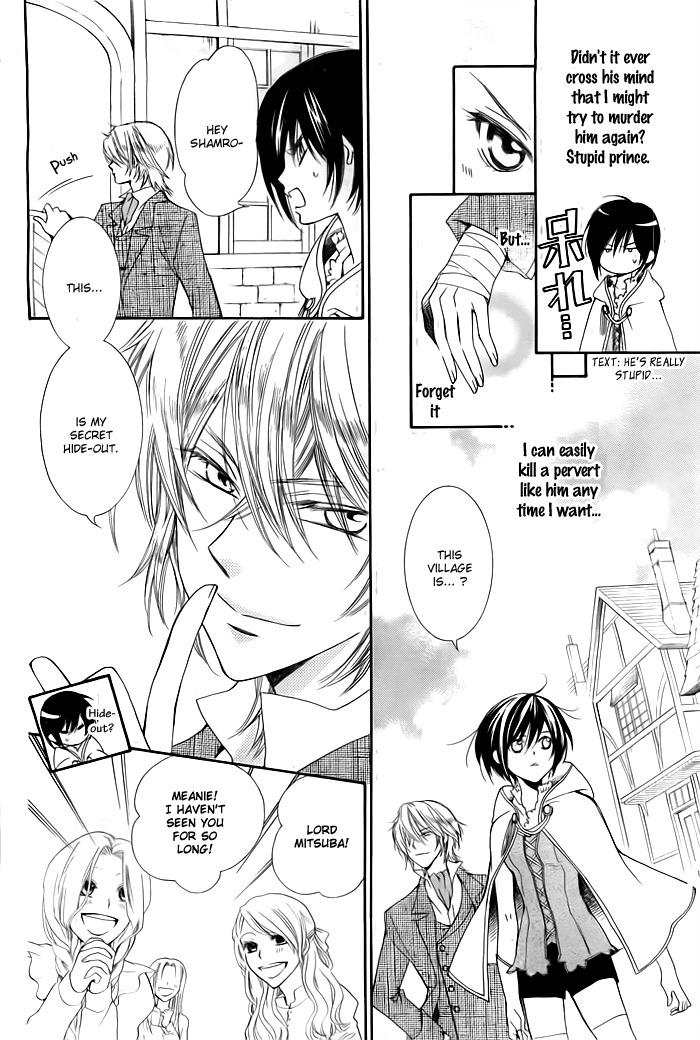 Miba Ouji to Ibara no Shukujo Chapter 0 page 11 - Chapter 0: One Shot