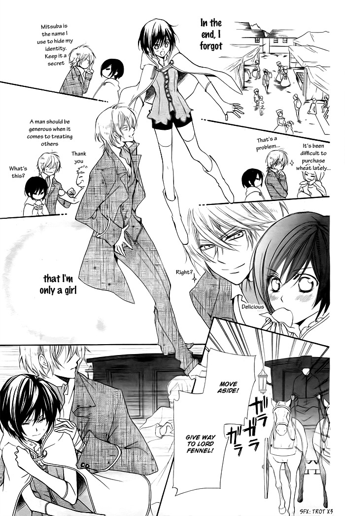 Miba Ouji to Ibara no Shukujo Chapter 0 page 18 - Chapter 0: One Shot