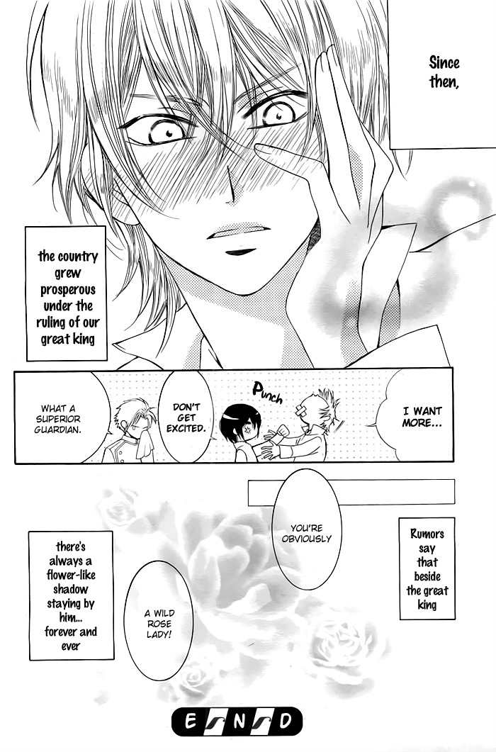 Miba Ouji to Ibara no Shukujo Chapter 0 page 41 - Chapter 0: One Shot