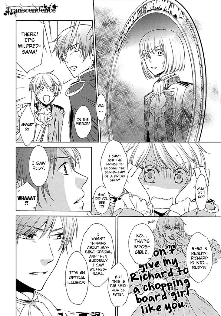 Migawari Hakushaku to Himitsu no Nikki Chapter 3 page 17 - Chapter 3: Mirror of Fate