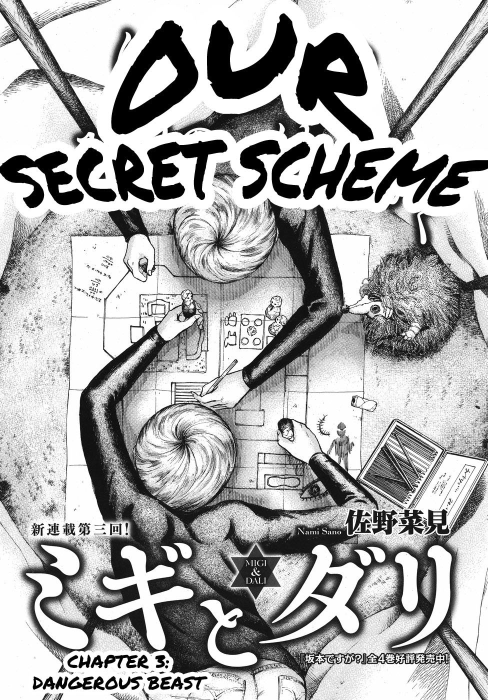 Migi to Dali Chapter 3 page 1 - Chapter 3: Dangerous Beast