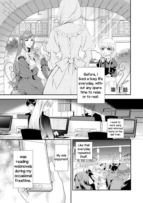 Milady Just Wants to Relax Chapter 1 page 1 - Chapter 1