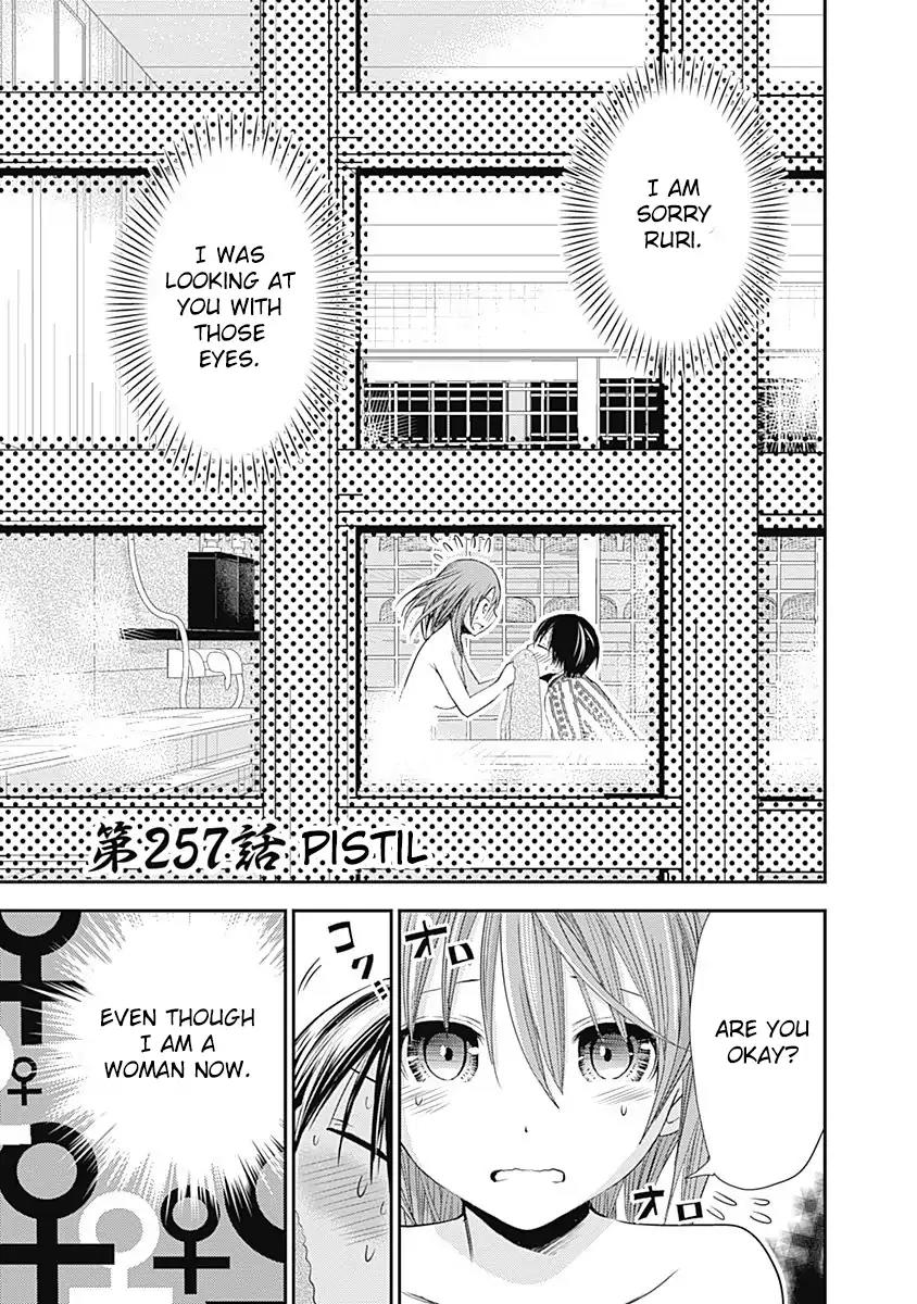 Minamoto-kun Monogatari Chapter 257 page 2 - Chapter 257: Pistil