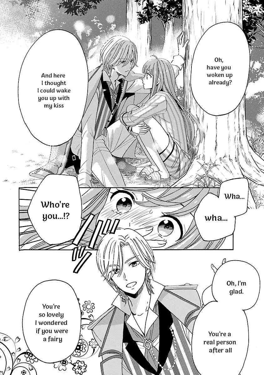 Miracle Nikki Chapter 1 page 18 - Chapter 1