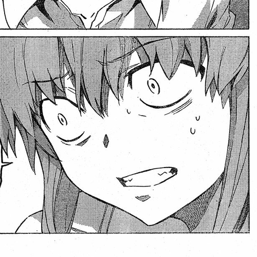 Mirai Nikki Chapter 25: 8th's Diary cover