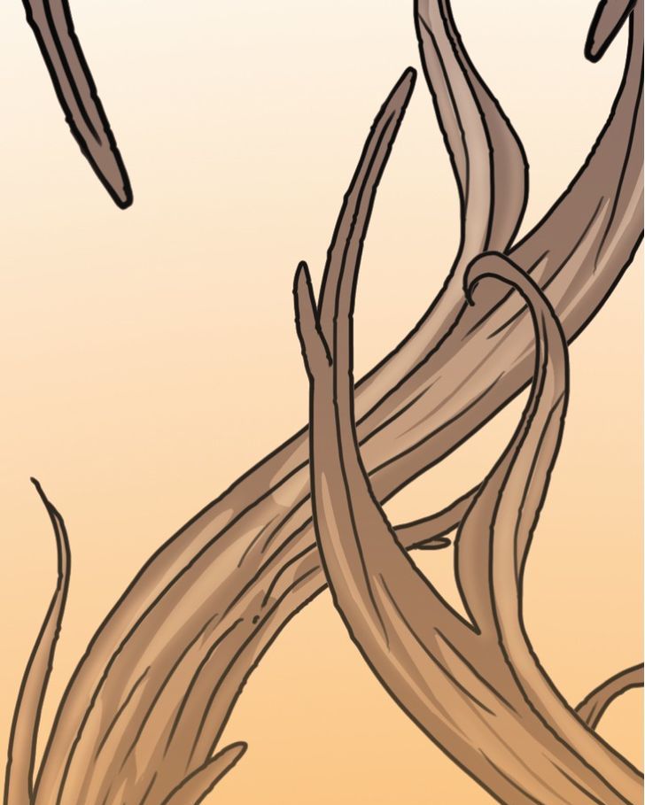 Mirror Chapter 10 page 13 - Chapter 10
