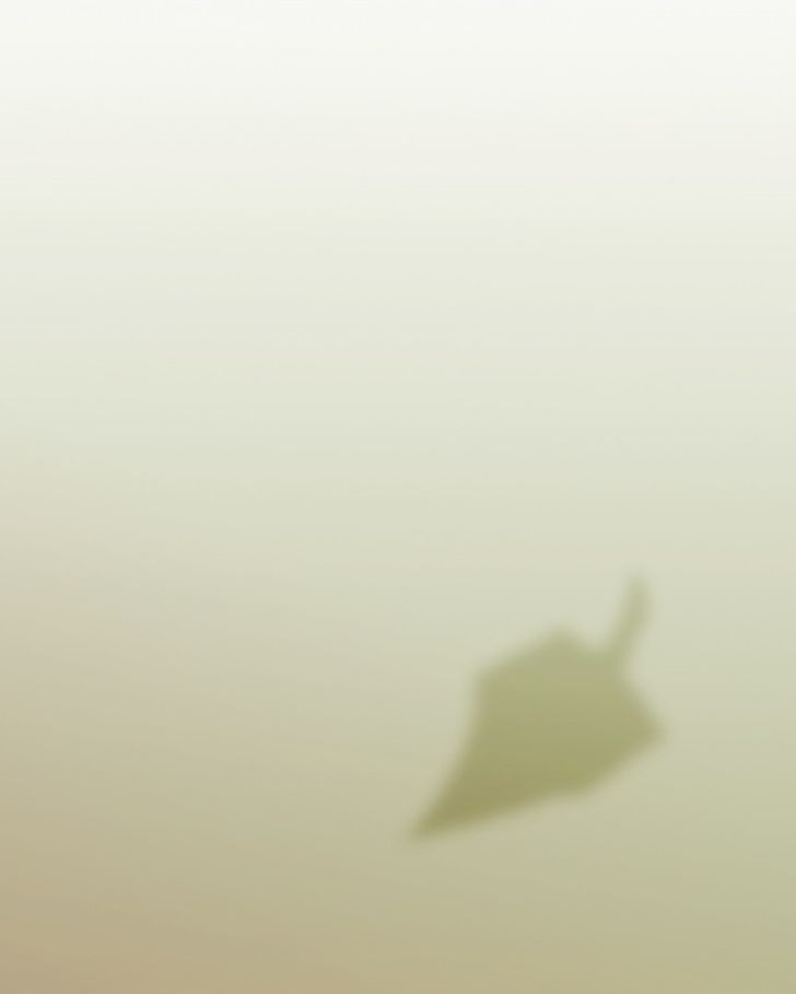 Mirror Chapter 16 page 9 - Chapter 16