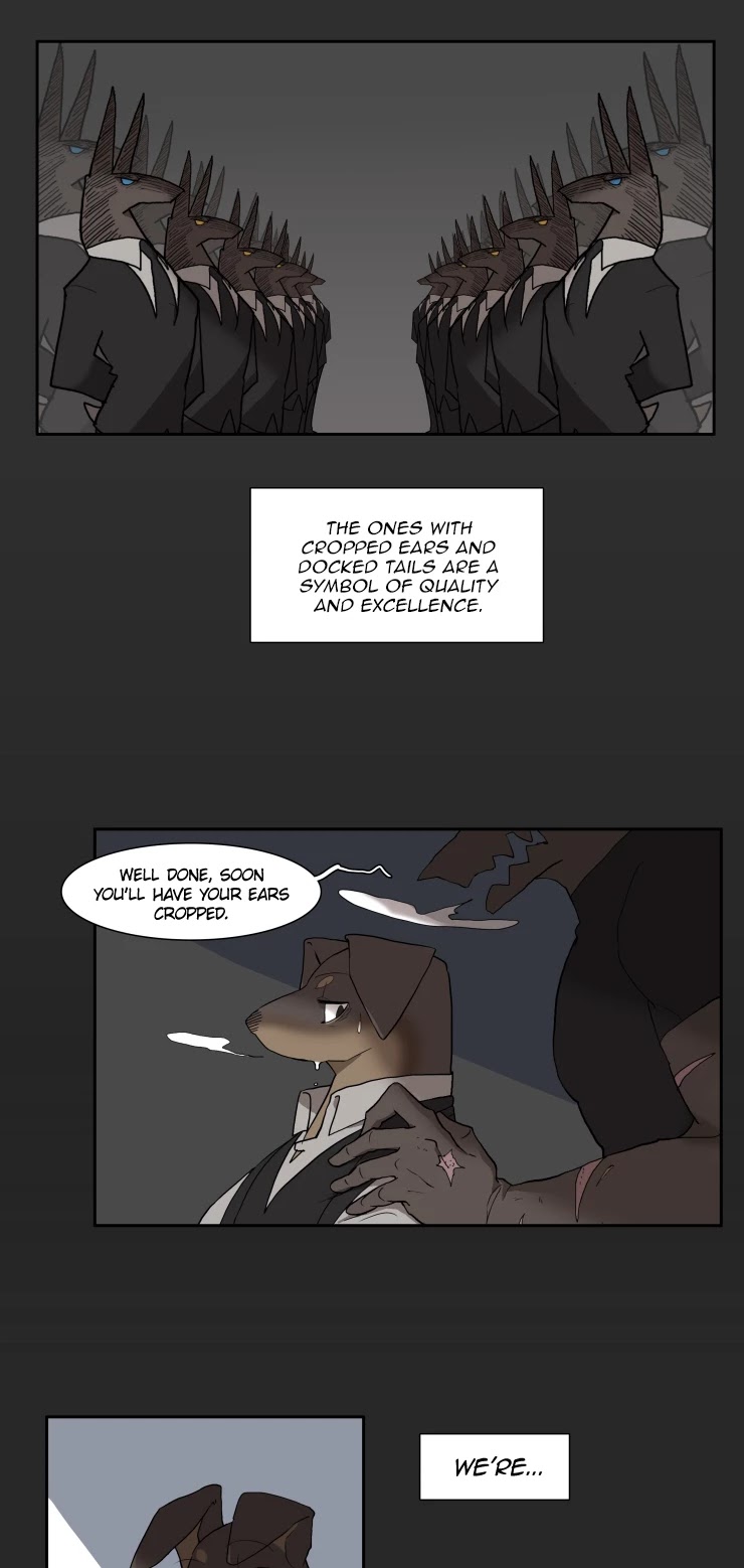 Miss Kitty and Her Bodyguards Chapter 100 page 8 - Chapter 100: Everheart (1)